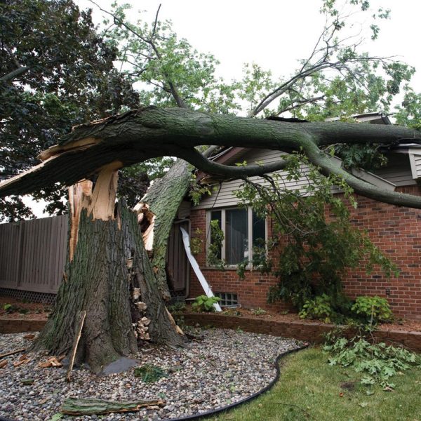 Emergency Storm & Tree Removal Services