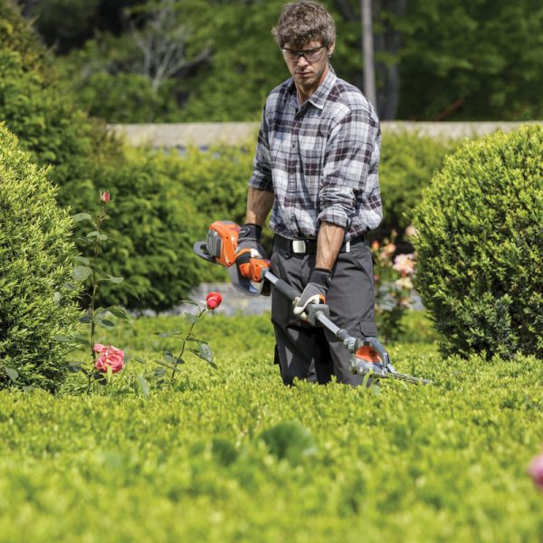 Residential Hedge and Shrub Trimming