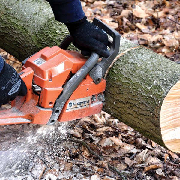 Spécialiste en coupe d'arbre